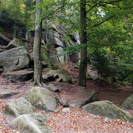 40 斯克拉斯卡波伦巴